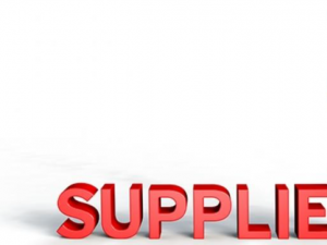 enterprise+and+supplier+development